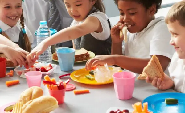 Vegan and vegetarian diets in children