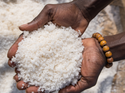Iodine Nutrition – a lens on the Sub-saharan Africa population