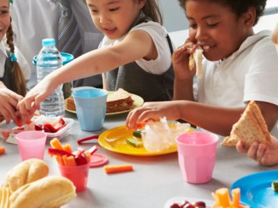 Vegan and vegetarian diets in children