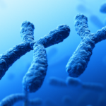 Sexual dimorphism in the context of nutrition and health