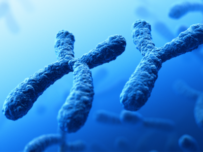 Sexual dimorphism in the context of nutrition and health
