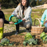 Progress and challenges towards achieving sustainable diets
