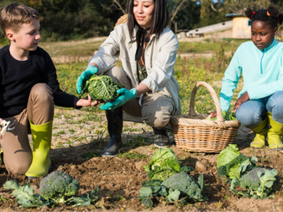 Progress and challenges towards achieving sustainable diets